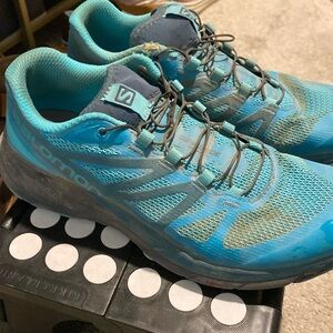 Salomon Hiking Shoes